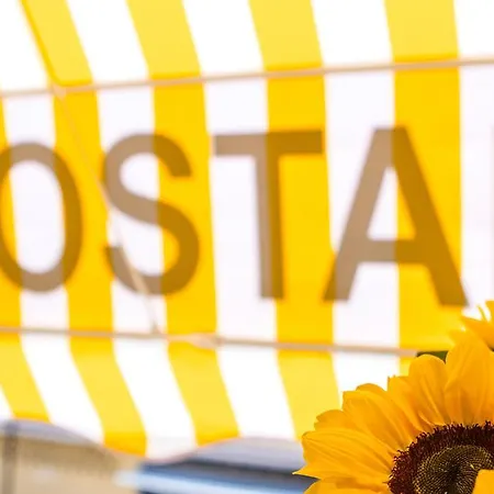 Jomarijo 2* フエンヒロラ