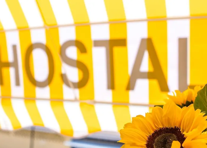 Jomarijo 2* フエンヒロラ