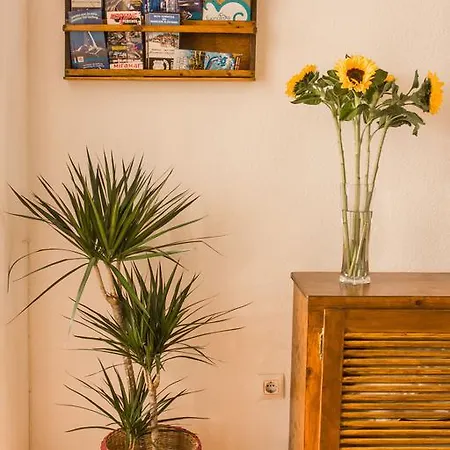 Casa de hóspedes Jomarijo Boutique 2*